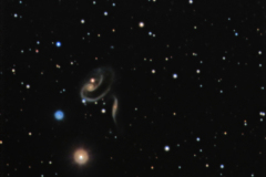 ARP 273