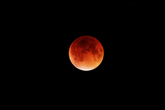 Eclipse-Lune-septembre-2015©Andre-Cajolais