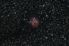 IC5146_-AndreCajolais_PPR