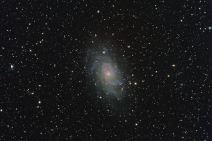 M33