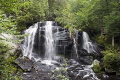 chute